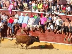 Imagen del vespertino Viernes de Toros 2022. /SN