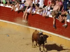 Imagen del vespertino Viernes de Toros 2022. /SN