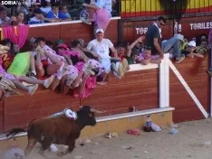 Imagen del vespertino Viernes de Toros 2022. /SN