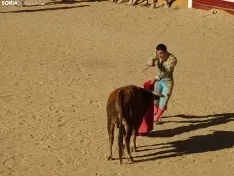 Imagen del vespertino Viernes de Toros 2022. /SN