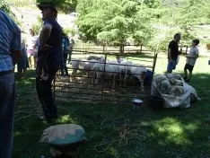 Una imagen del ambiente hoy en Oncala. /SN 