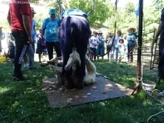 Una imagen del ambiente hoy en Oncala. /SN 