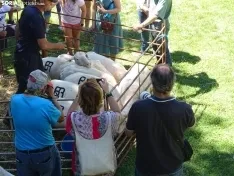 Una imagen del ambiente hoy en Oncala. /SN 