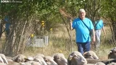 Trashumancia en Soria 2022. /SN