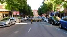 Trashumancia en Soria 2022. /SN