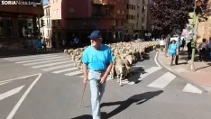Trashumancia en Soria 2022. /SN