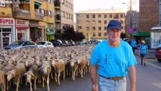 Trashumancia en Soria 2022. /SN