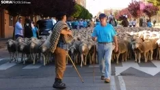 Trashumancia en Soria 2022. /SN