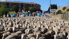 Trashumancia en Soria 2022. /SN