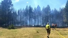 Una imagen del incendio. 