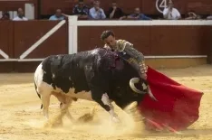 Foto 6 - Cinco orejas en la corrida del S&aacute;bado Ag&eacute;s: una Rafaelillo, y dos Adame y Rub&eacute;n Sanz