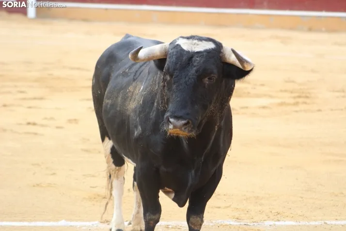 Im&aacute;genes de la corrida del S&aacute;bado Ag&eacute;s
