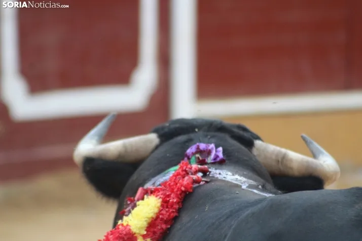 Im&aacute;genes de la corrida del S&aacute;bado Ag&eacute;s