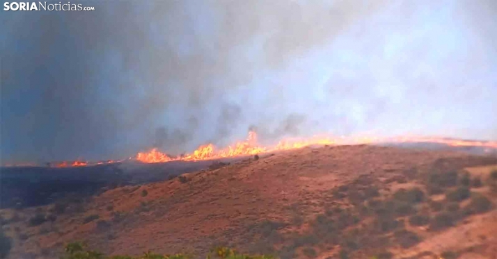 Extinguido un incendio que ha quemado 2 hectáreas en Ágreda