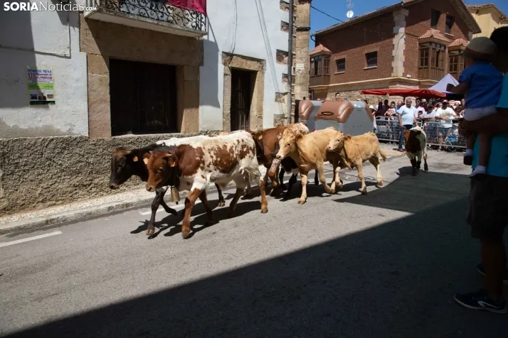 Galería: Feria Tradicional de Almarza