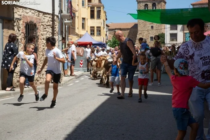 Galería: Feria Tradicional de Almarza