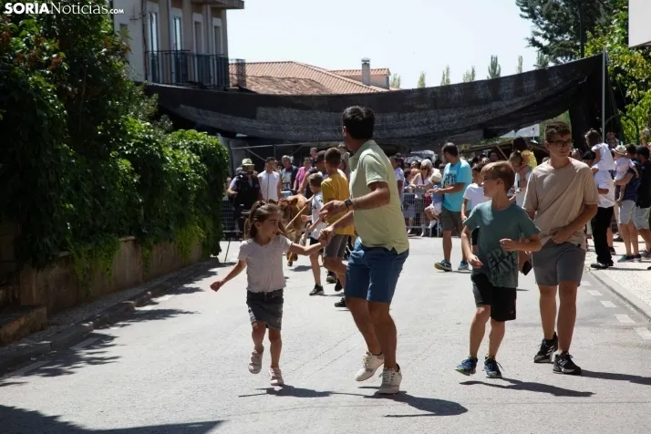Galería: Feria Tradicional de Almarza