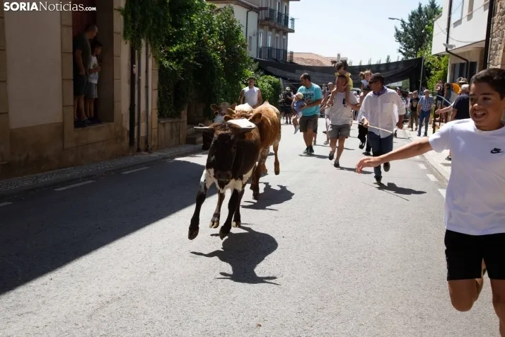 Galería: Feria Tradicional de Almarza