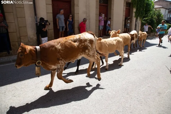 Galería: Feria Tradicional de Almarza