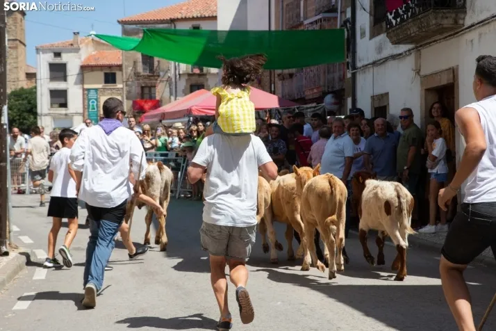 Galería: Feria Tradicional de Almarza