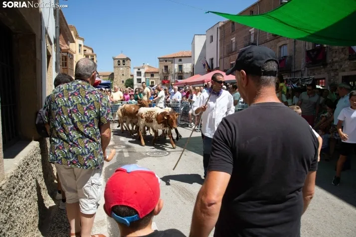Galería: Feria Tradicional de Almarza