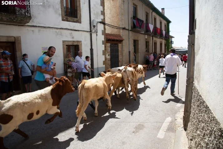 Galería: Feria Tradicional de Almarza