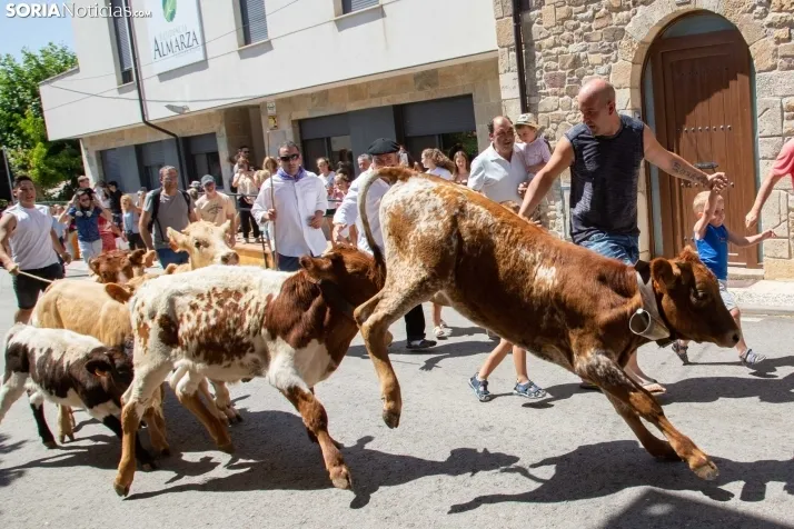 Galería: Feria Tradicional de Almarza
