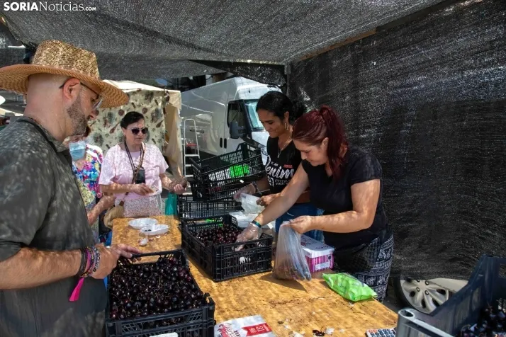 Galería: Feria Tradicional de Almarza