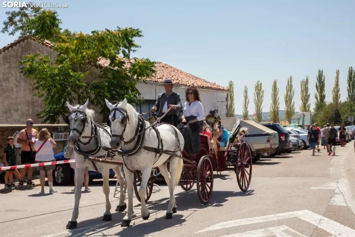 Galería: Feria Tradicional de Almarza