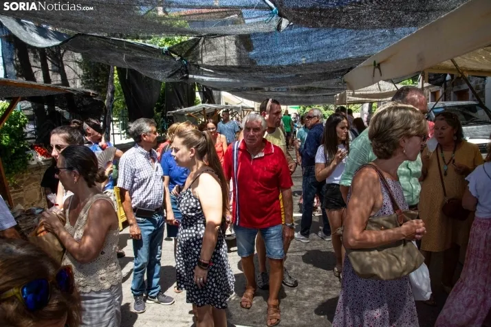 Galería: Feria Tradicional de Almarza