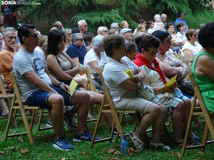 Una imagen del concierto de este miércoles en el parque del Castillo. /SN