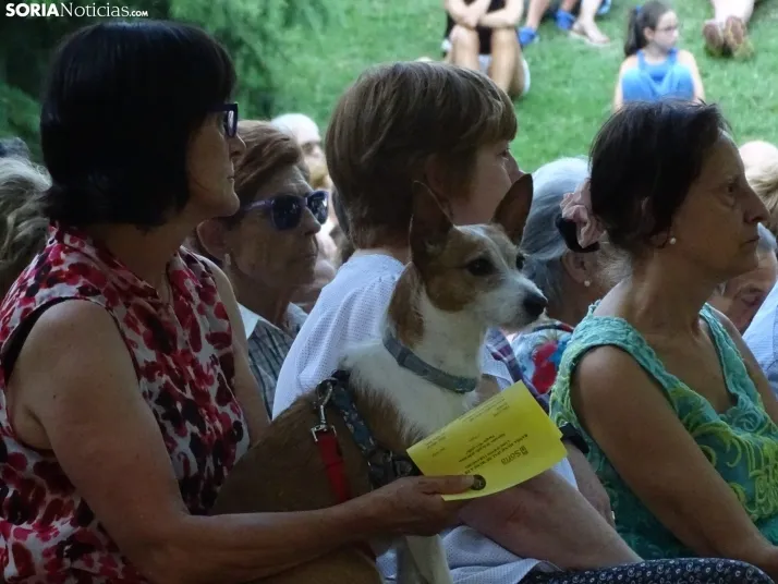 Una imagen del concierto de este miércoles en el parque del Castillo. /SN