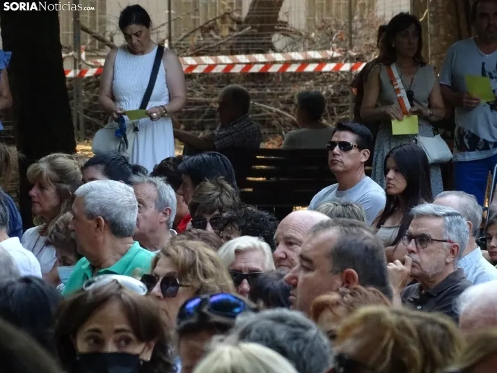 Una imagen del concierto de este miércoles en el parque del Castillo. /SN