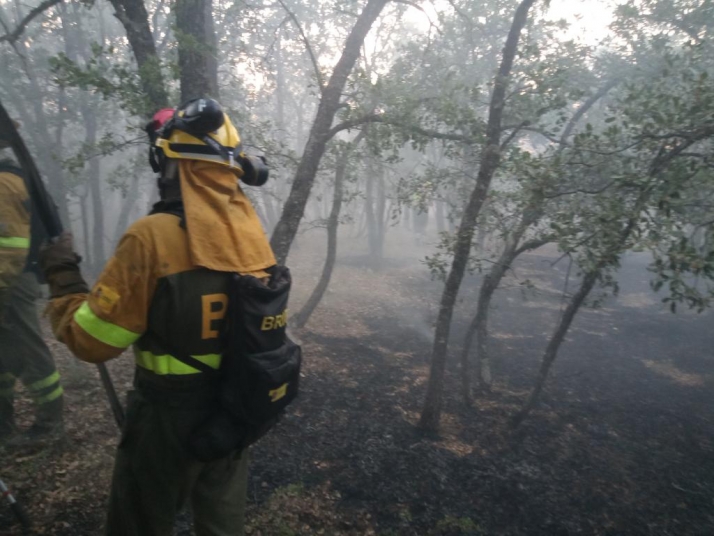 Los trabajos de 160 profesionales permiten bajar a Nivel 1 el incendio de Navafría, en Segovia