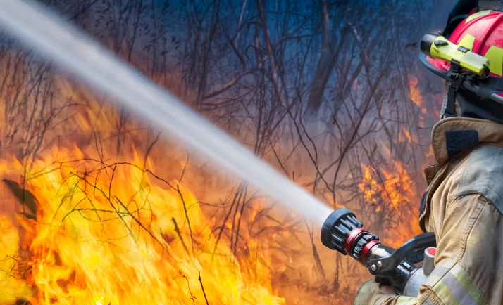  Tres nuevos incendios en Ávila, Burgos y Zamora, posiblemente provocados, amenazan la seguridad de las personas y el patrimonio natural de la Comunidad