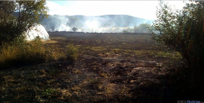 800.000 euros para alimento y agua de las explotaciones ganaderas afectadas por los incendios