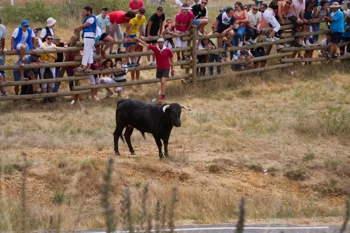 La Saca 2022, por Cirilo Vargas 