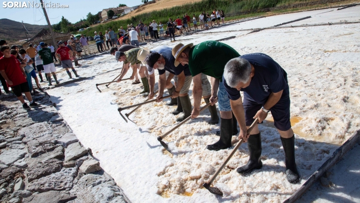 Galería: así se elabora la sal en Salinas de Medinaceli