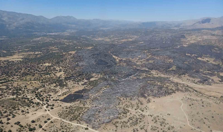 El incendio forestal de San Juan de la Nava, en Ávila, baja a Nivel 1