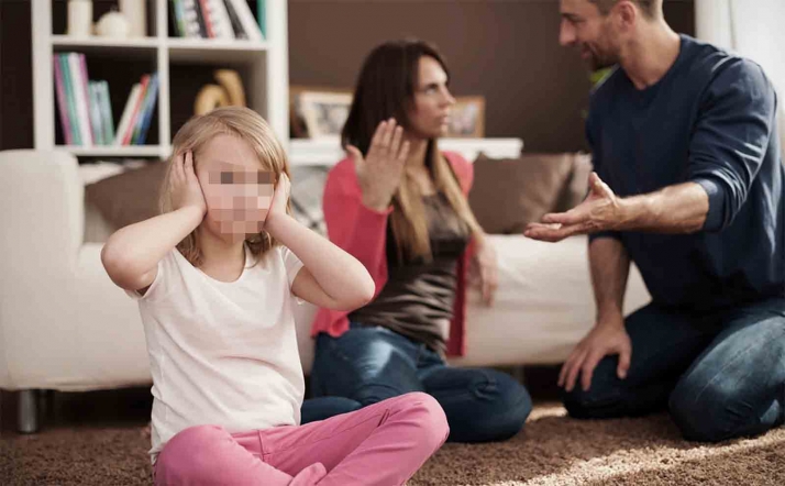 Arranca la tramitación de la Ley de lucha contra la Violencia Intrafamiliar en Castilla y León