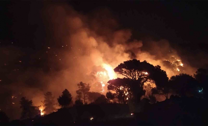 En marcha medidas especiales para atender las necesidades regionales de zonas afectadas por los incendios