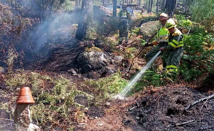 Avances en la consolidación, estabilización y profesionalización del operativo contra incendios forestales