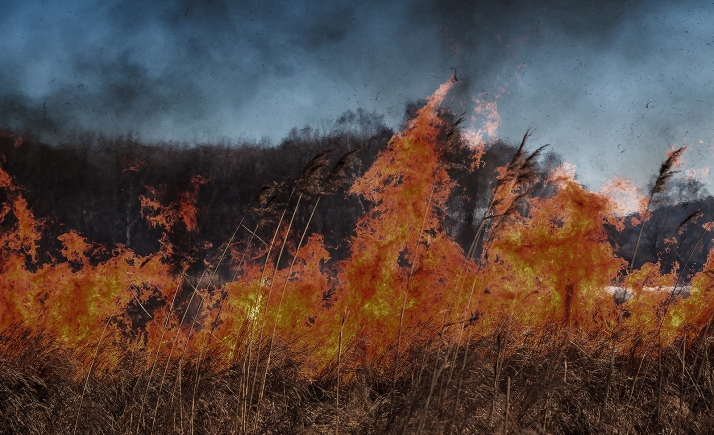 En imágenes: Esta es la evolución del riesgo de incendios en la provincia durante los próximos días