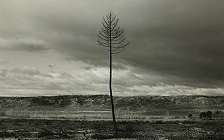 Incendio de la comarca del Izana del año 2000/ @tardeluendenews