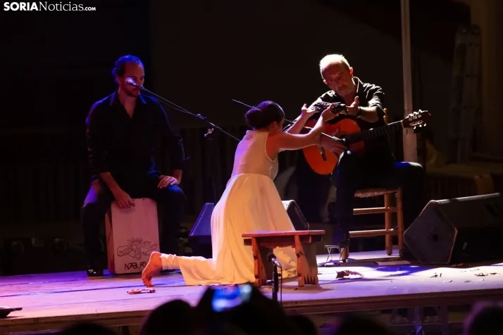 Fusión flamenca e india en Almazán