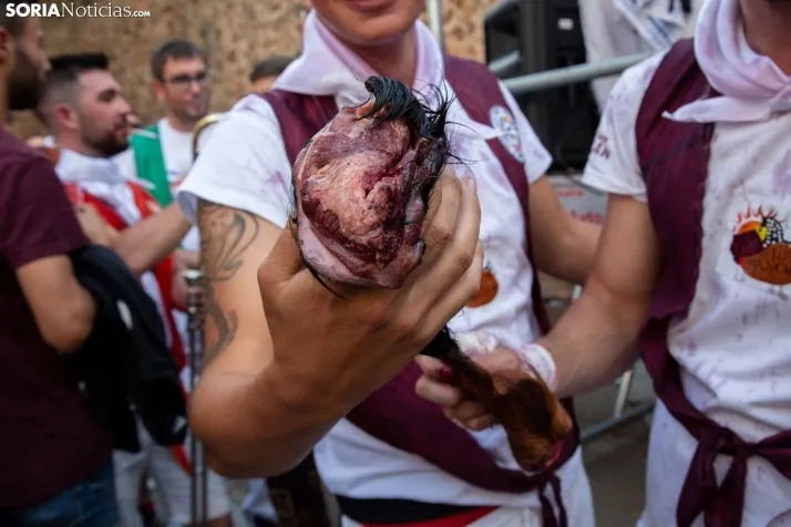 Subasta del Sábado Agés 2022