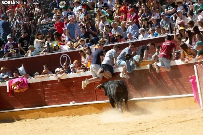 Matinal del Viernes de Toros en San Benito