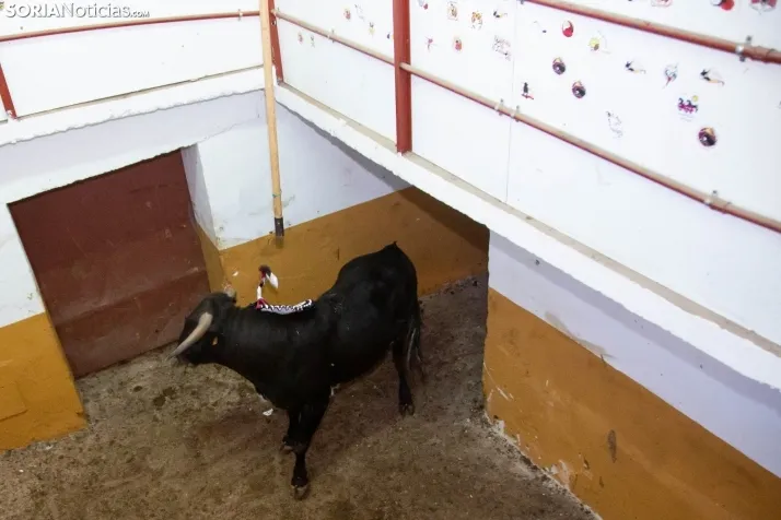 Matinal del Viernes de Toros en San Benito