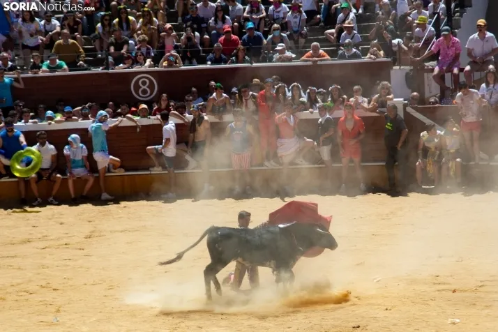 Matinal del Viernes de Toros en San Benito