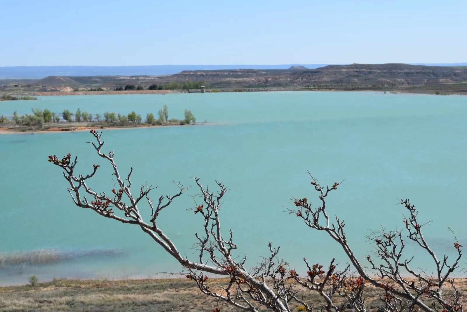 Foto 10 - El embalse de Monteagudo: inter&eacute;s ecol&oacute;gico y tur&iacute;stico